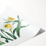 Elegant botanical wall art print of vibrant daffodils with detailed petals, showcasing soft yellow and green hues, ideal for home decor and floral enthusiasts.