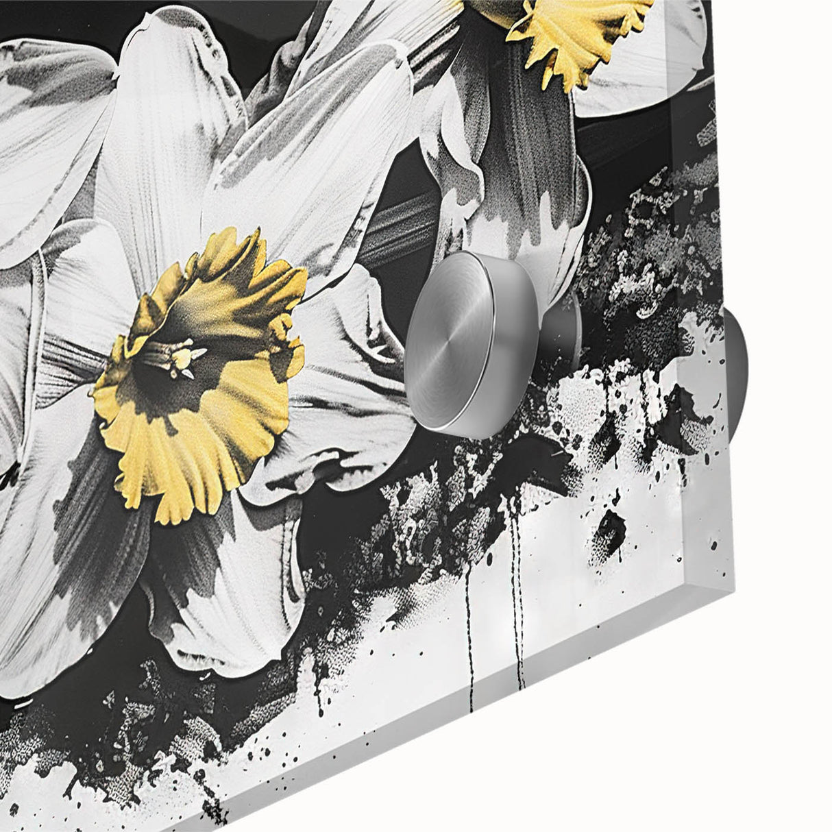 Close-up of a vibrant daffodil botanical wall art piece, showcasing intricate details of the floral design on acrylic glass, enhancing modern decor aesthetics.