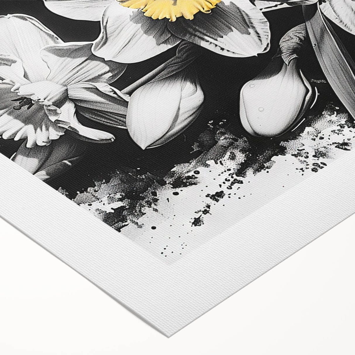 Daffodil botanical wall art design on rolled canvas, showcasing vibrant yellow flowers and intricate details, perfect for home decor or artistic display.