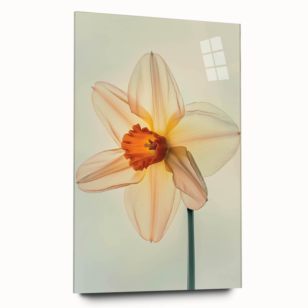 Acrylic glass wall art featuring a vibrant botanical design of daffodils, showcasing intricate details and colors, suitable for modern home decor.