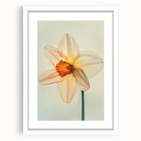 Botanical wall art featuring a vibrant daffodil design in a sleek white frame with a mat, perfect for home decor, showcasing floral elegance and artistry.