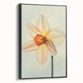 Framed canvas wall art showcasing a botanical daffodil design in vibrant yellow and green hues, presented in a sleek black frame, ideal for home decor.