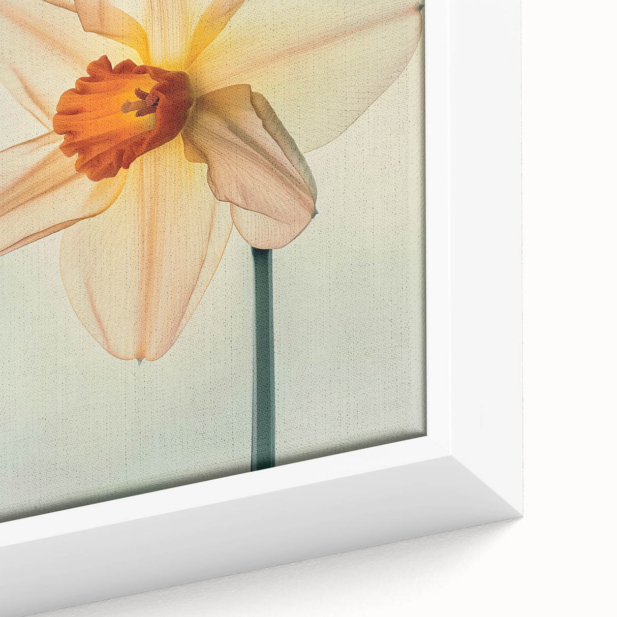Close-up of a framed canvas featuring vibrant daffodil botanical design, showcasing intricate details and bright colors, perfect for home decor enhancement.