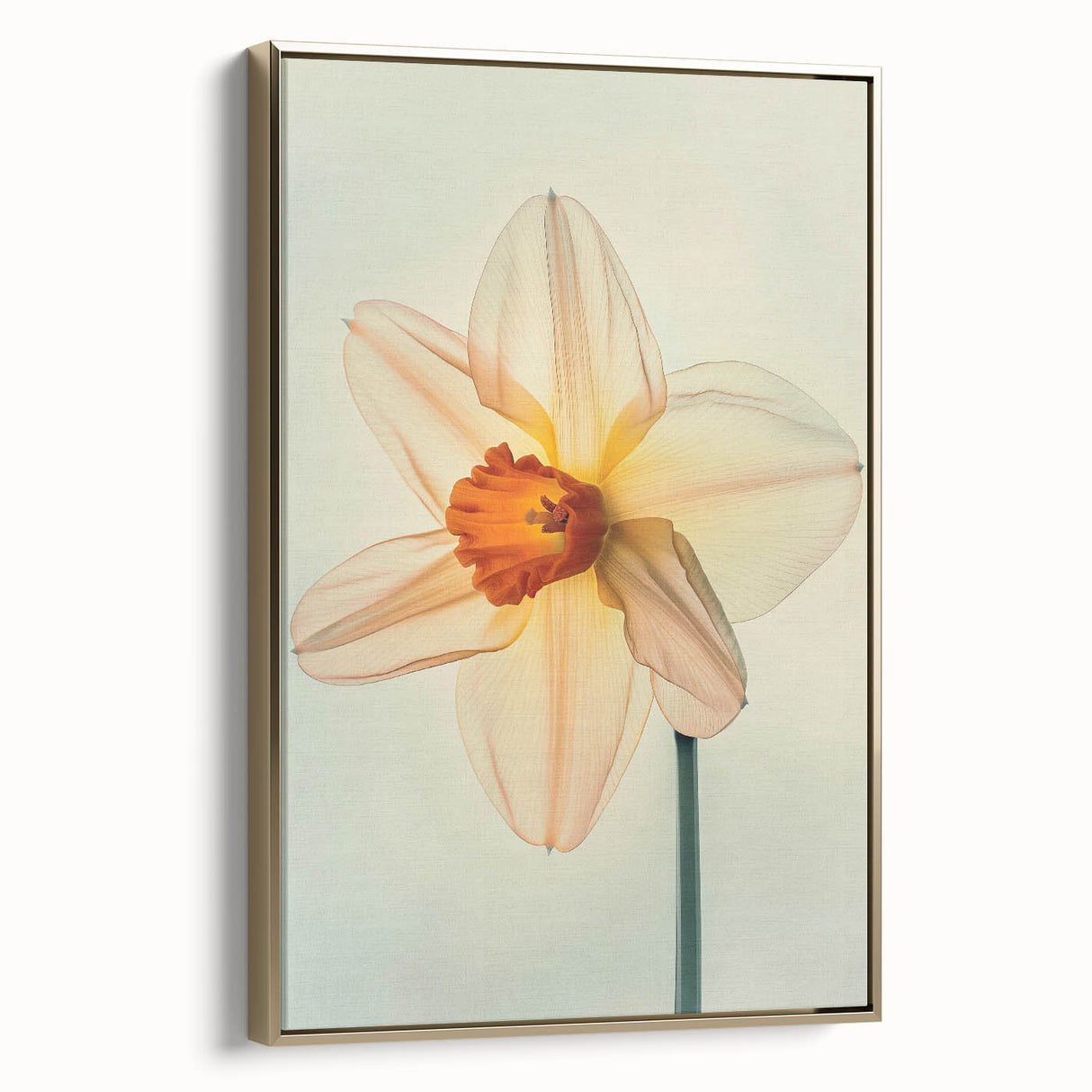 Framed canvas wall art showcasing a botanical daffodil design in vibrant colors, elegantly displayed with a gold frame, perfect for home decor enhancement.