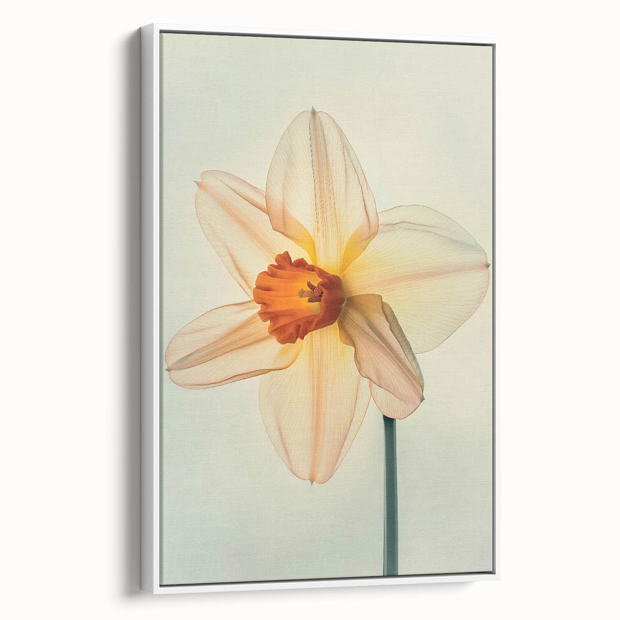 Framed canvas wall art featuring a botanical daffodil design with vibrant yellow flowers, set against a clean white background, perfect for home decor.