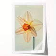 Botanical wall art featuring vibrant yellow daffodils against a soft white background, designed for home decor. Perfect for brightening living spaces or offices.