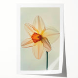Botanical wall art featuring vibrant yellow daffodils against a soft white background, designed for home decor. Perfect for brightening living spaces or offices.