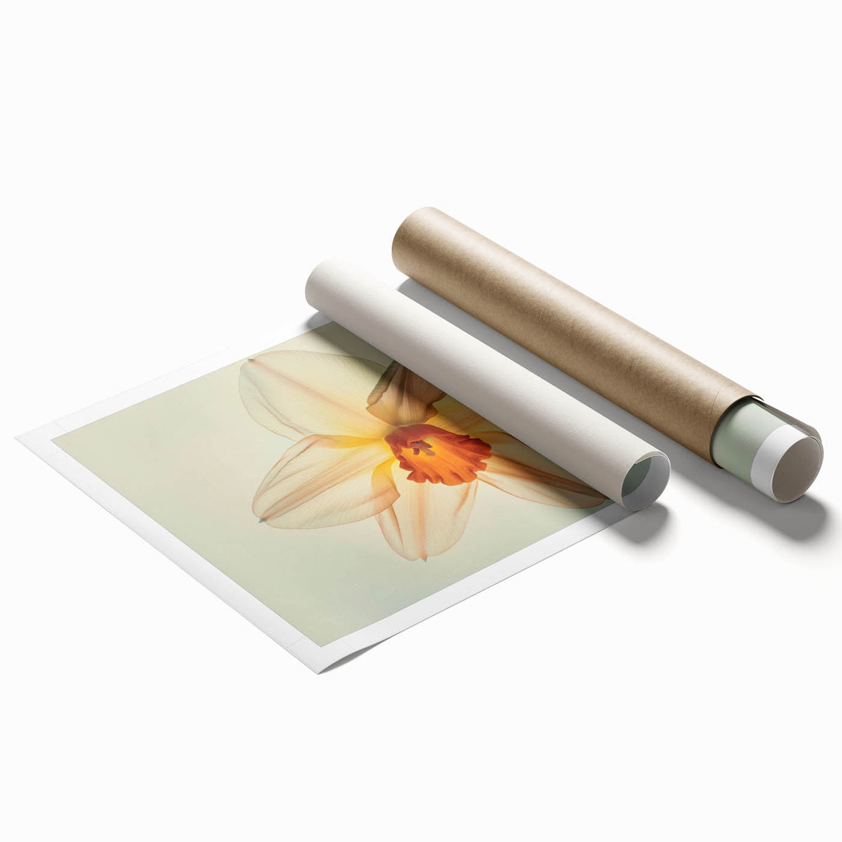 Botanical wall art print showcasing vibrant yellow daffodils on a soft blue background, perfect for home decor. Ideal for enhancing any living space with a touch of nature.