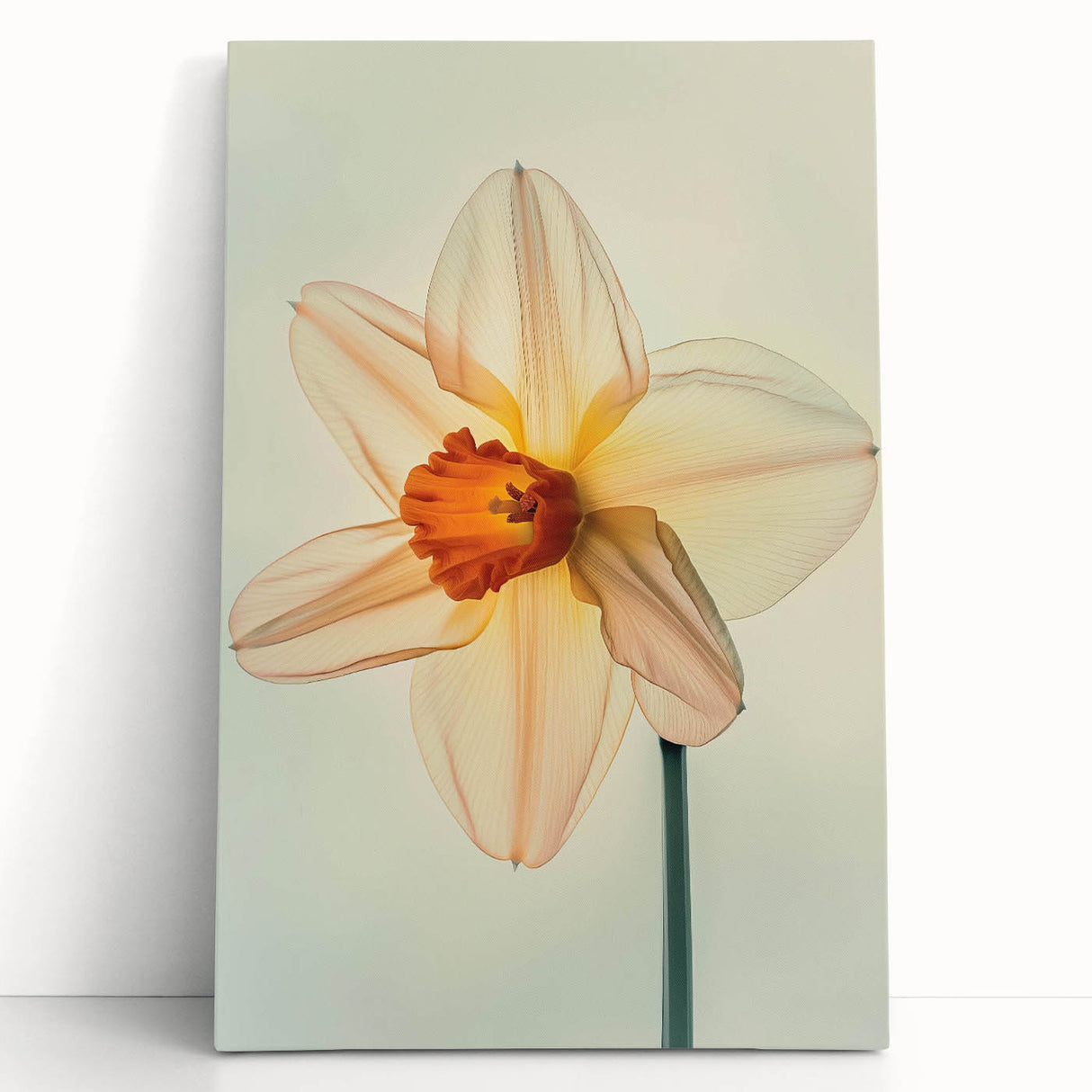 Vibrant botanical wall art featuring a daffodil design on stretched canvas, showcasing colorful flowers and intricate details, perfect for home decor.