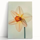 Vibrant botanical wall art featuring a daffodil design on stretched canvas, showcasing colorful flowers and intricate details, perfect for home decor.