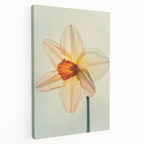 Stretched canvas wall art displaying a botanical daffodil design, showcasing vibrant yellow flowers and lush green leaves, perfect for home decor.