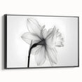 Framed canvas wall art showcasing a botanical daffodil design in vibrant colors, set against a sleek black frame, ideal for home decor and nature lovers.