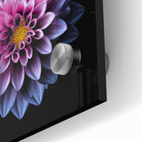 Close-up of a vibrant dahlia botanical wall art design, showcasing intricate petal details and rich colors against a glass surface, perfect for home decor.