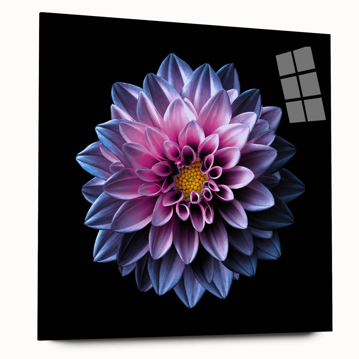 Side view of a stunning dahlia botanical wall art piece, featuring vibrant colors and intricate details under acrylic glass, perfect for home decor.