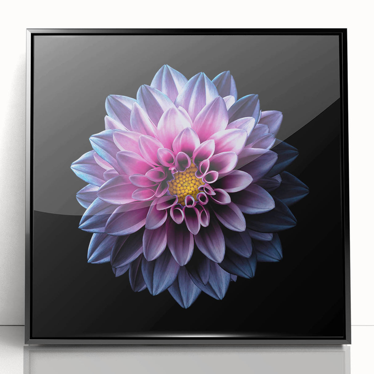 Framed wall art showcasing a botanical dahlia design in vibrant colors, featuring a sleek black frame, perfect for adding a touch of elegance to home decor.