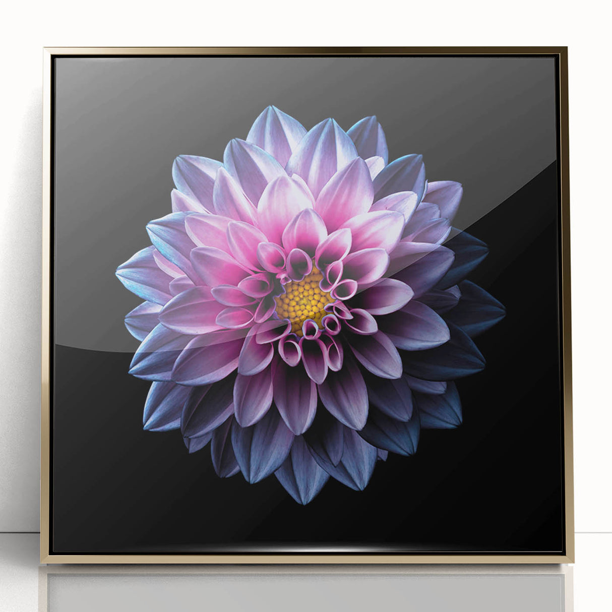 Framed acrylic wall art featuring a botanical dahlia design in gold, showcasing vibrant colors and intricate floral details, perfect for enhancing home decor.