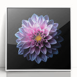 Framed botanical wall art featuring a vibrant dahlia design in acrylic, set against a clean white background, ideal for adding a touch of nature to home decor.