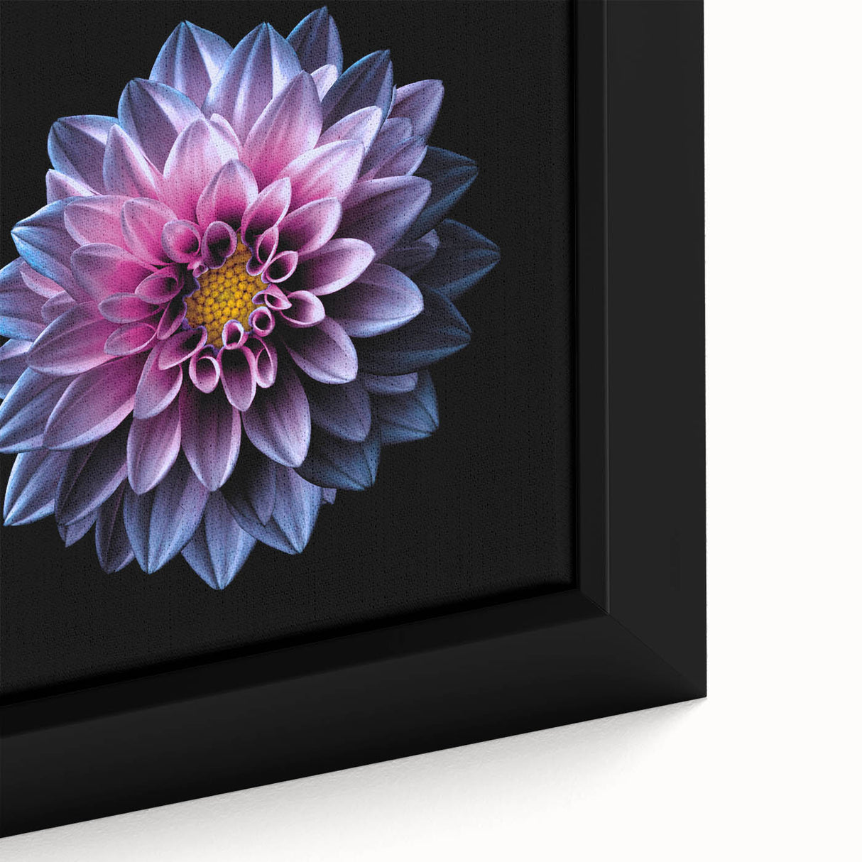 Close-up view of a framed canvas wall art featuring a vibrant botanical dahlia design, showcasing intricate details and rich colors that enhance any decor.