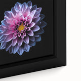 Close-up view of a framed canvas wall art featuring a vibrant botanical dahlia design, showcasing intricate details and rich colors that enhance any decor.