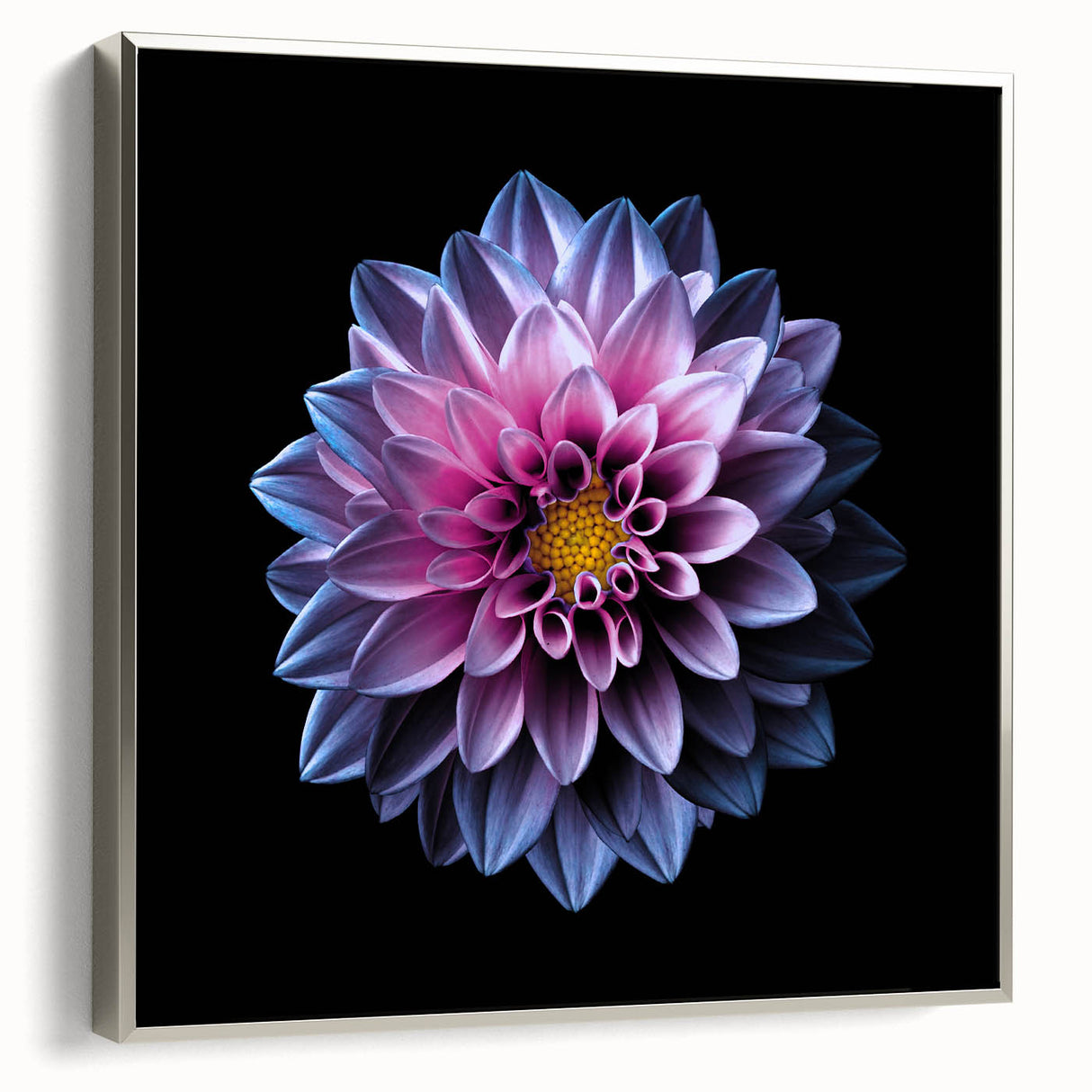 Framed wall art showcasing a detailed botanical dahlia design on canvas, featuring a silver frame, perfect for enhancing home decor with a floral aesthetic.