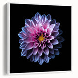 Framed botanical wall art showcasing a vibrant dahlia design on a white background, highlighting intricate petals and natural beauty, perfect for home decor.