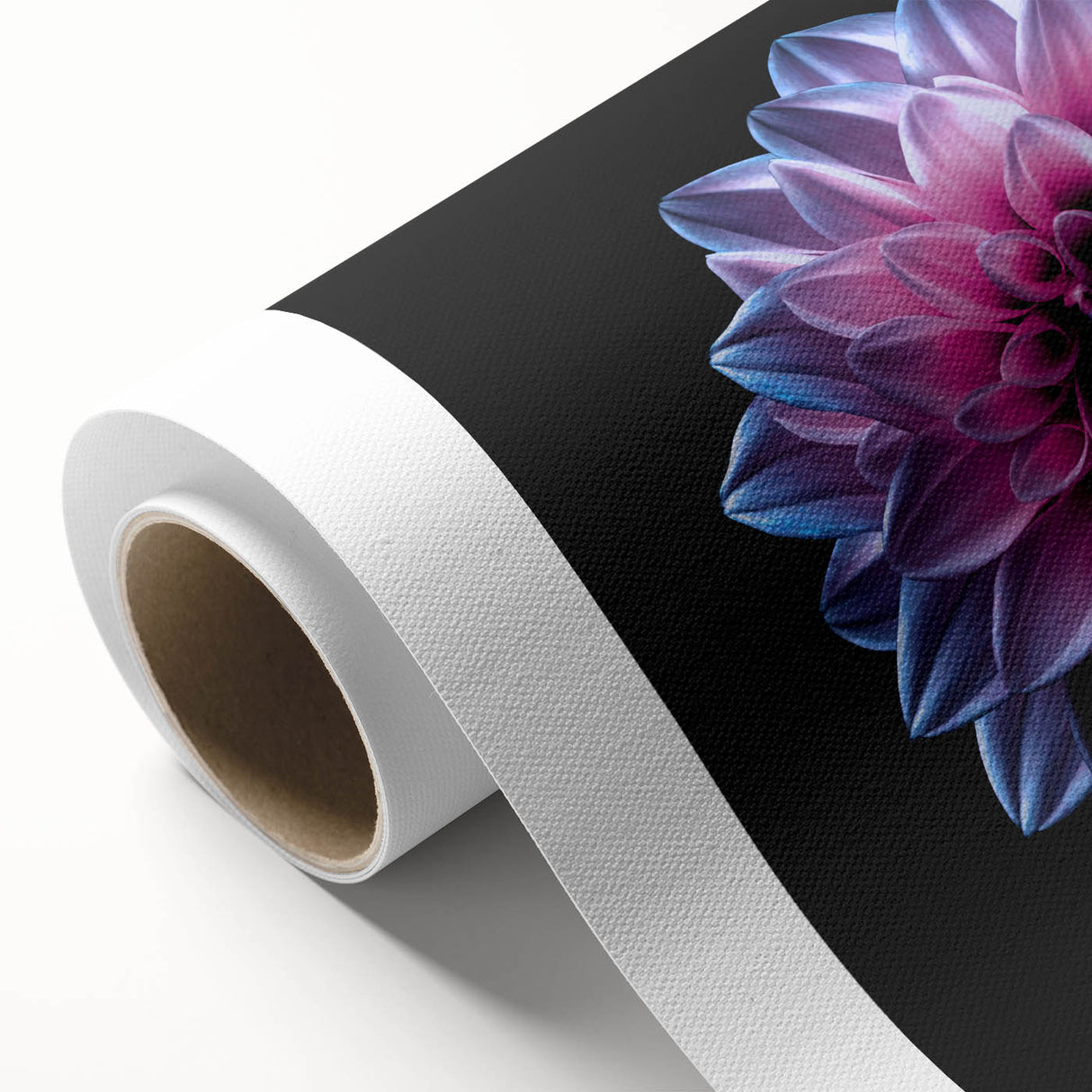 Vibrant rolled canvas showcasing a botanical dahlia design in rich colors, perfect for home decor. Ideal for flower enthusiasts and art lovers, this piece adds elegance and natural beauty to any space.