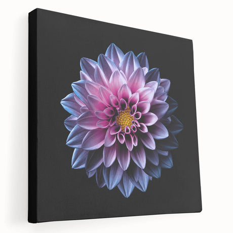 Stretched canvas wall art showcasing a vibrant dahlia floral design with rich colors and intricate details, perfect for home decor and botanical enthusiasts.