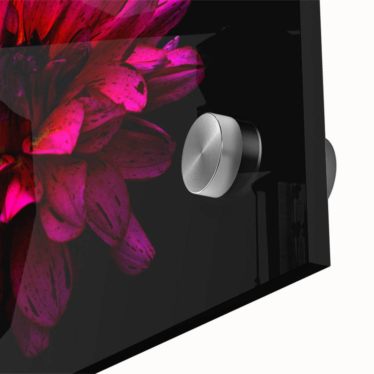 Close-up of a vibrant dahlia floral wall art design, showcasing intricate details and rich colors, perfect for enhancing home decor and bringing nature indoors.