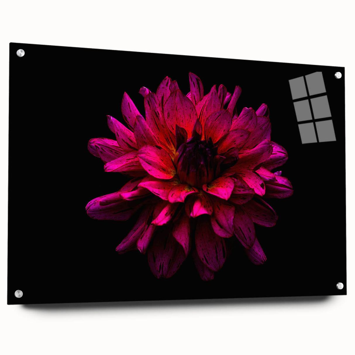 Acrylic wall art showcasing a botanical dahlia design, displayed in a side view with decorative pins, ideal for home decor and floral enthusiasts.