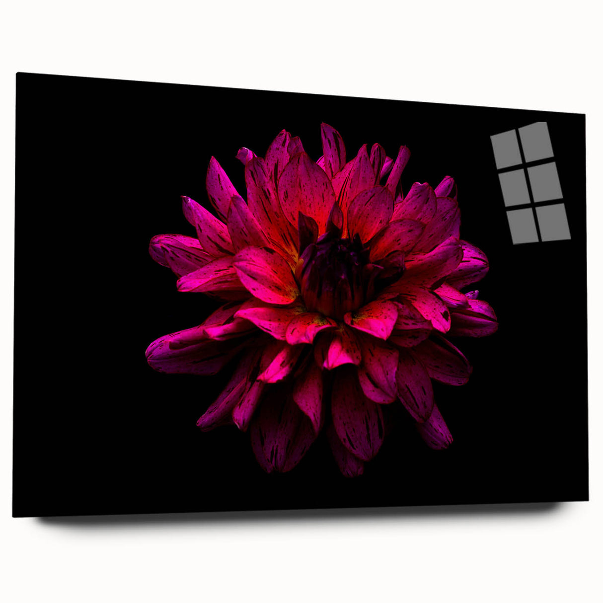 Elegant botanical wall art featuring a dahlia design printed on acrylic glass, showcasing vibrant colors and intricate details. Ideal for modern decor.