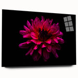 Elegant botanical wall art featuring a dahlia design printed on acrylic glass, showcasing vibrant colors and intricate details. Ideal for modern decor.