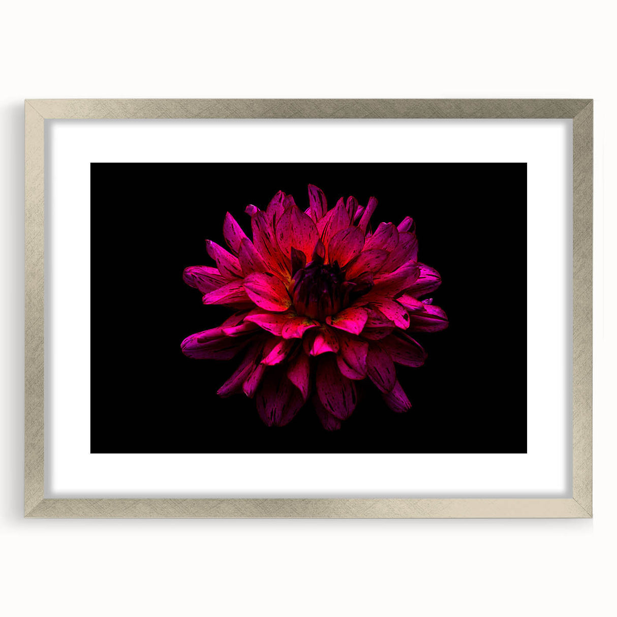 Dahlia botanical wall art design featuring intricate floral illustrations in soft pastel colors, framed with a silver mat for a modern aesthetic. Perfect for home decor.