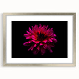 Dahlia botanical wall art design featuring intricate floral illustrations in soft pastel colors, framed with a silver mat for a modern aesthetic. Perfect for home decor.