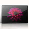 Framed wall art featuring an elegant botanical dahlia design in vibrant colors, showcasing intricate floral details on a sleek black background, perfect for home decor.