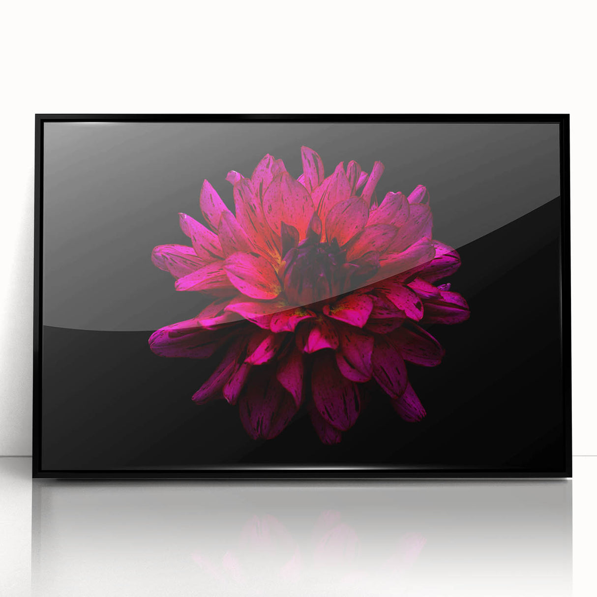 Framed wall art featuring an elegant botanical dahlia design in vibrant colors, showcasing intricate floral details on a sleek black background, perfect for home decor.