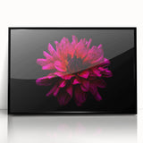 Framed wall art featuring an elegant botanical dahlia design in vibrant colors, showcasing intricate floral details on a sleek black background, perfect for home decor.