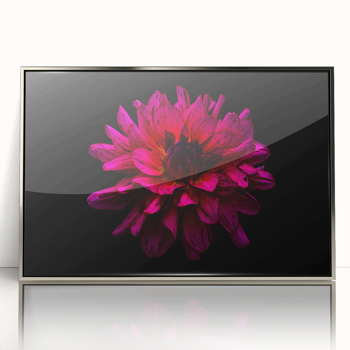 Framed wall art showcasing a botanical dahlia design in vibrant colors, set in a sleek silver frame. Ideal for modern home decor and floral enthusiasts.