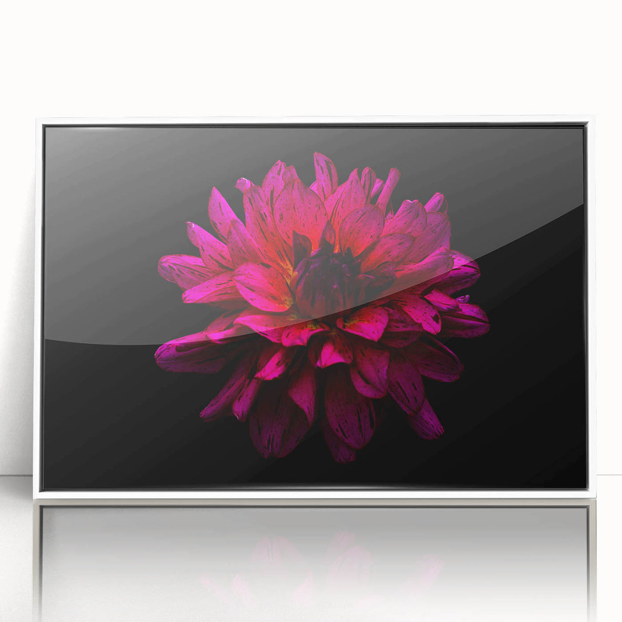 Framed acrylic wall art featuring a botanical dahlia design in vibrant colors, showcasing a modern aesthetic with a white frame, perfect for home decor. This elegant piece adds a floral touch to any room, enhancing the overall ambiance with its striking visuals.