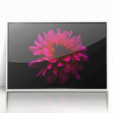 Framed acrylic wall art featuring a botanical dahlia design in vibrant colors, showcasing a modern aesthetic with a white frame, perfect for home decor. This elegant piece adds a floral touch to any room, enhancing the overall ambiance with its striking visuals.