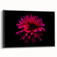 Framed canvas wall art showcasing a botanical dahlia design in vibrant colors, elegantly displayed from a side view against a black background, perfect for home decor.