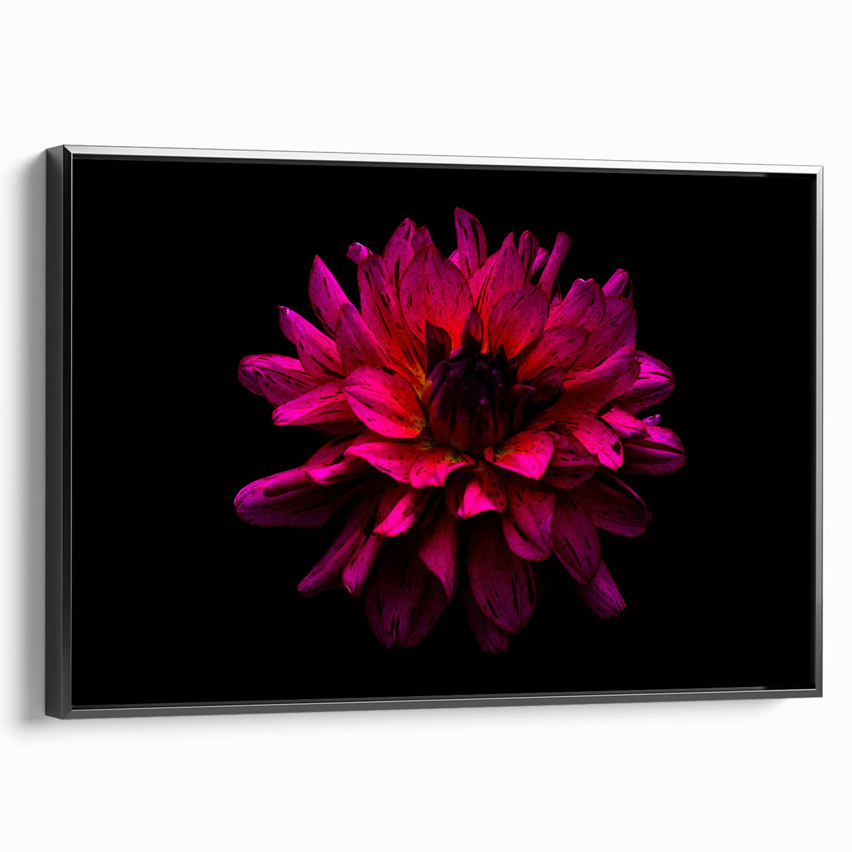 Framed canvas wall art showcasing a botanical dahlia design in vibrant colors, elegantly displayed from a side view against a black background, perfect for home decor.