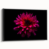 Framed canvas wall art showcasing a botanical dahlia design in vibrant colors, elegantly displayed from a side view against a black background, perfect for home decor.