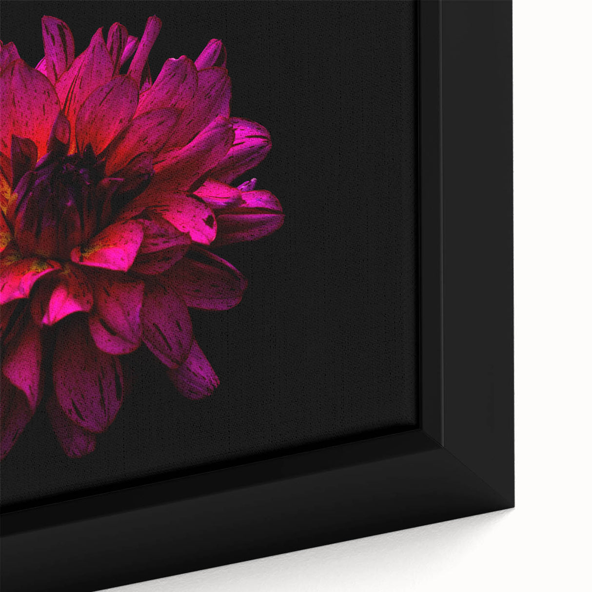 Close-up of a framed botanical dahlia design wall art collection, showcasing vibrant pink and white flower details against a soft background, perfect for home decor.