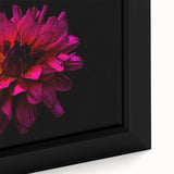 Close-up of a framed botanical dahlia design wall art collection, showcasing vibrant pink and white flower details against a soft background, perfect for home decor.