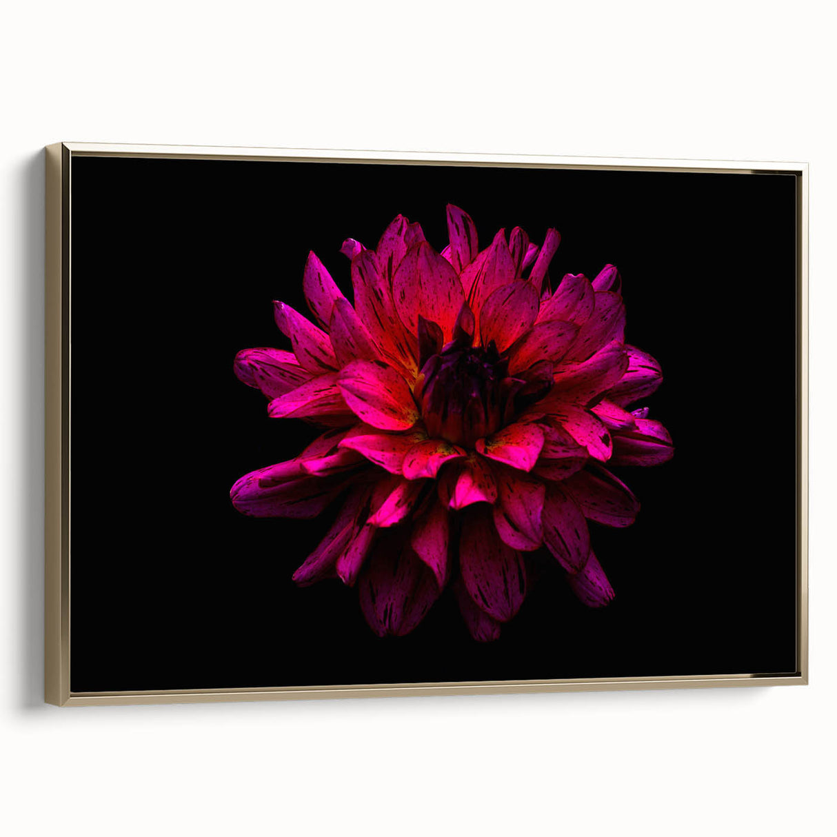 Framed botanical wall art showcasing a stunning dahlia design in vibrant colors, featuring a gold frame. Ideal for home decor and floral enthusiasts.