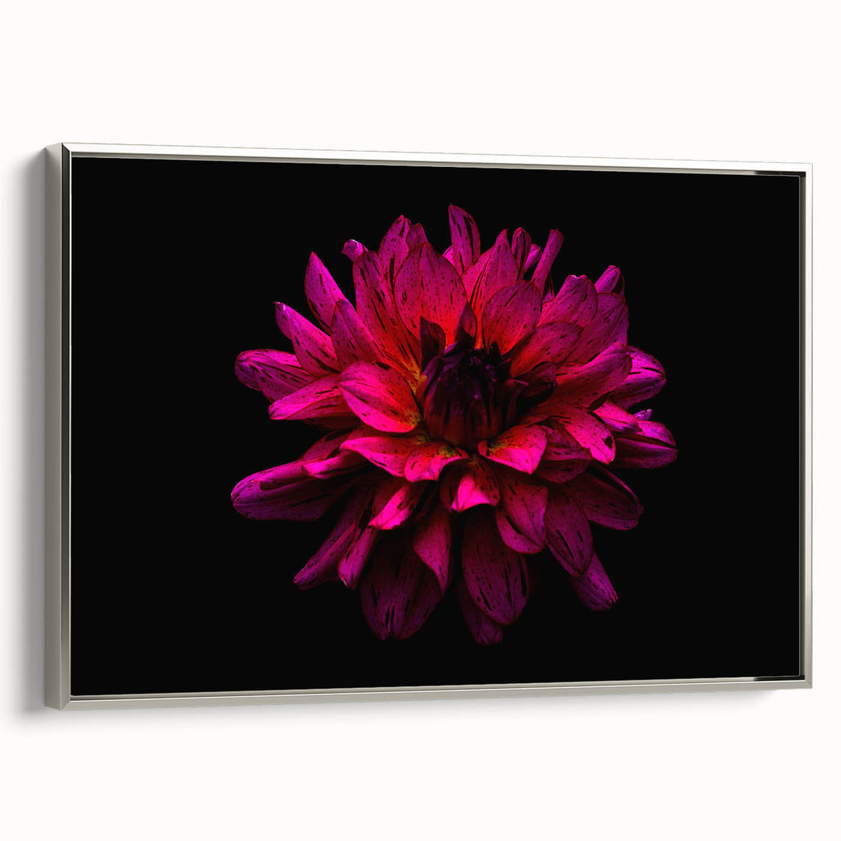 Framed canvas wall art showcasing a botanical dahlia design, featuring intricate floral details and a sleek silver frame. Ideal for enhancing modern home decor.