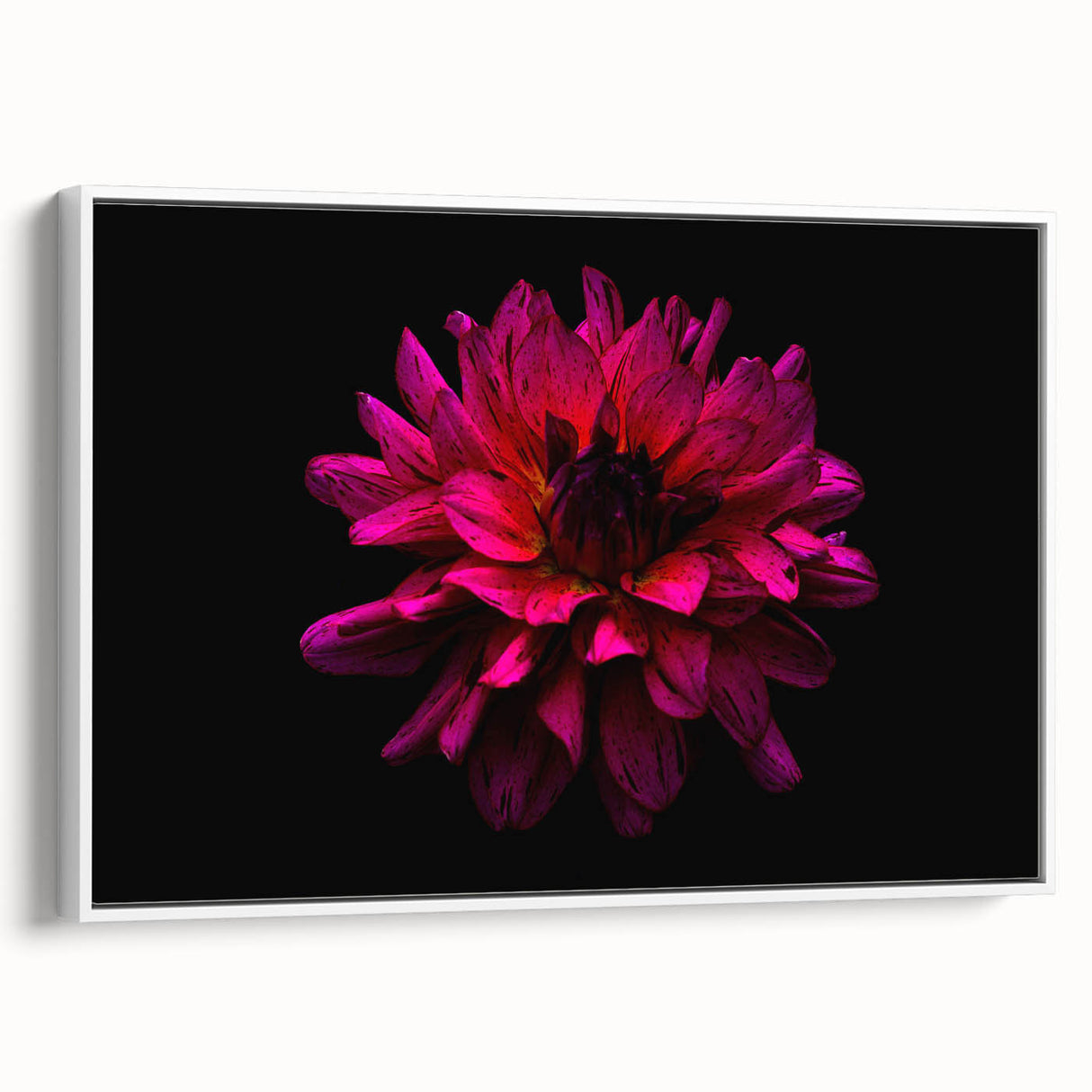 Framed canvas wall art depicting a vibrant botanical dahlia design, showcasing rich colors and intricate details, perfect for home decor or floral-themed spaces.