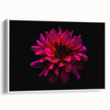 Framed canvas wall art depicting a vibrant botanical dahlia design, showcasing rich colors and intricate details, perfect for home decor or floral-themed spaces.