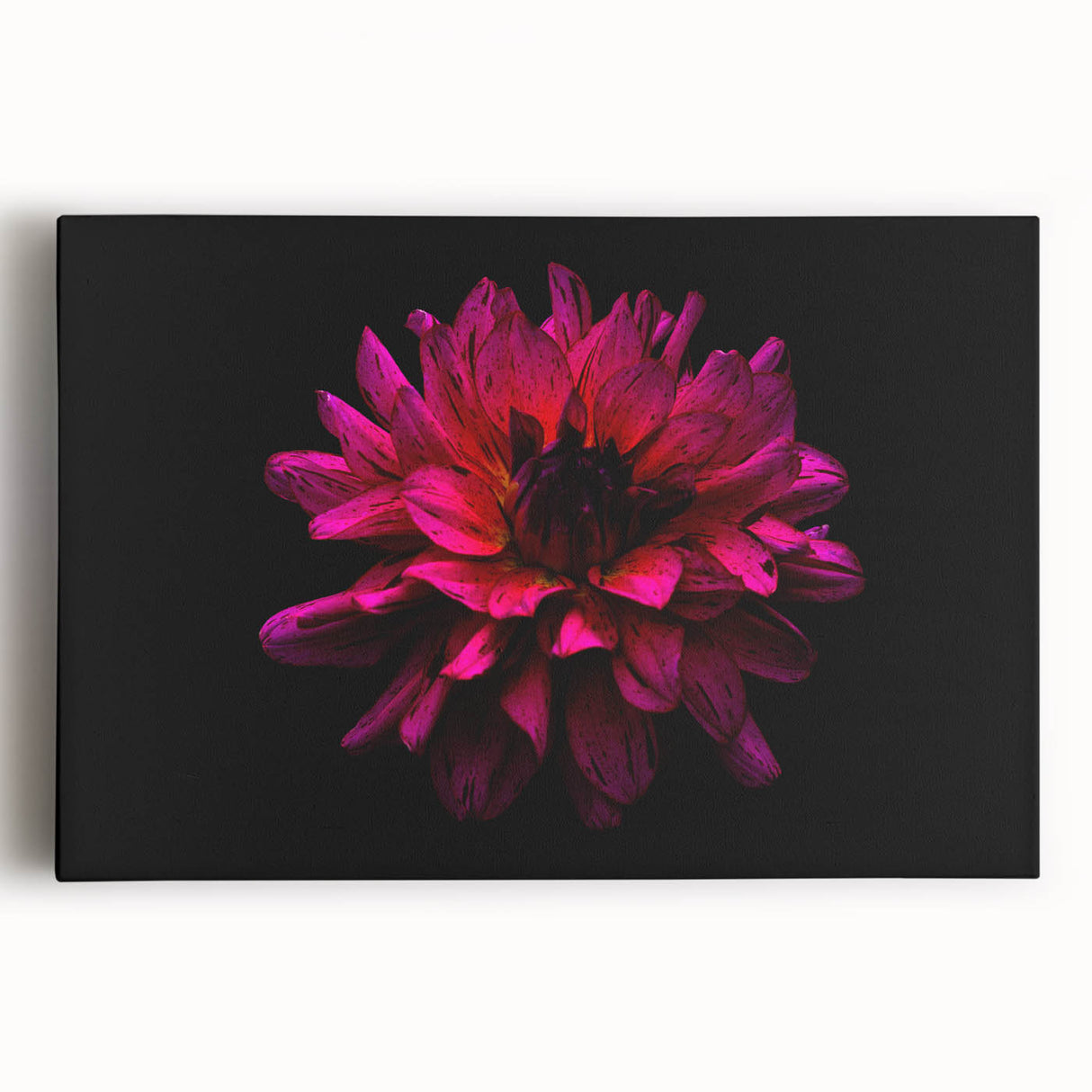 Stretched canvas art piece showcasing a vibrant botanical dahlia design, featuring rich colors and intricate floral details, perfect for enhancing home decor.