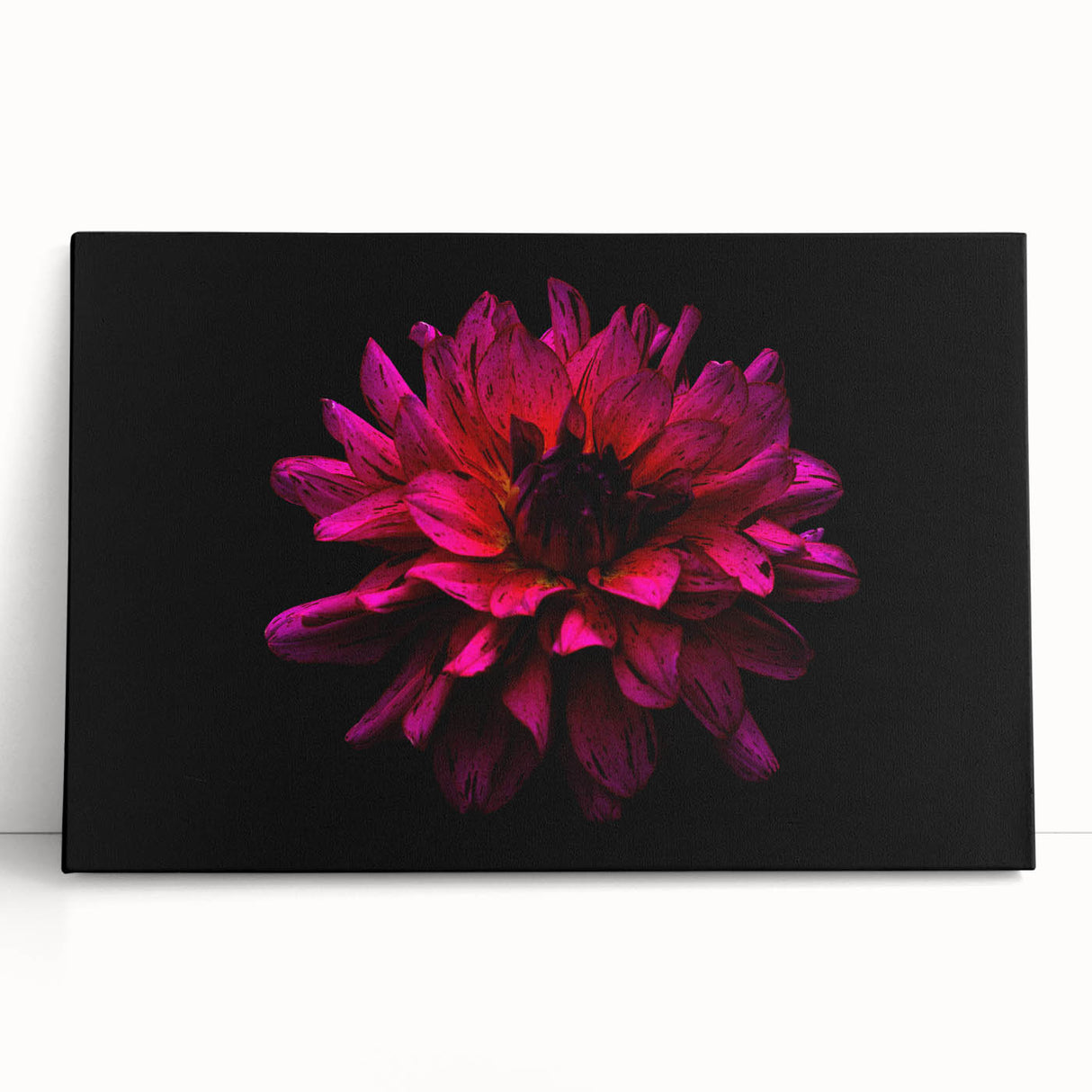 Vibrant botanical dahlia design wall art on stretched canvas, showcasing rich colors and intricate floral details, perfect for home decor or gifting.